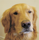 Gus